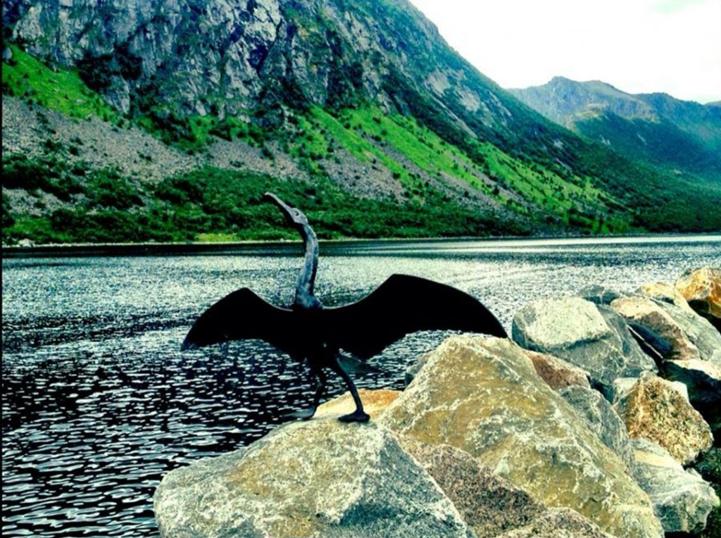Isole Lofoten in barca a vela: 70° latitudine nord. 46 Isole Lofoten